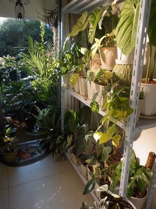 Bien ban cong 12m2 thanh “xu so than tien” noi hoa khoe sac-Hinh-9