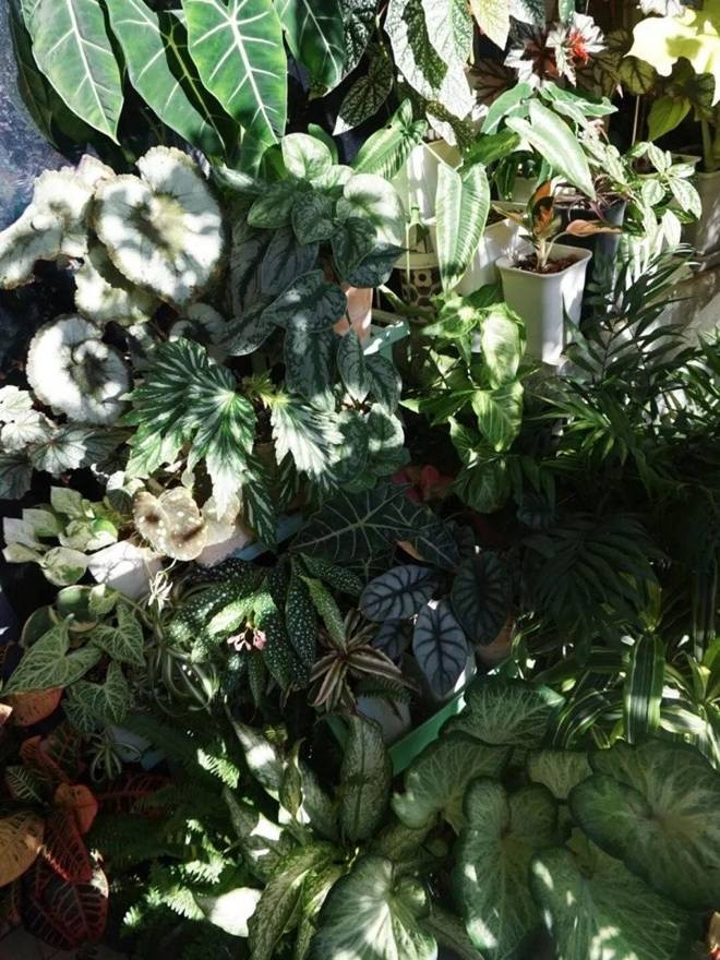 Bien ban cong 12m2 thanh “xu so than tien” noi hoa khoe sac-Hinh-6