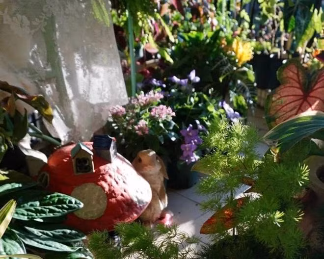 Bien ban cong 12m2 thanh “xu so than tien” noi hoa khoe sac-Hinh-15