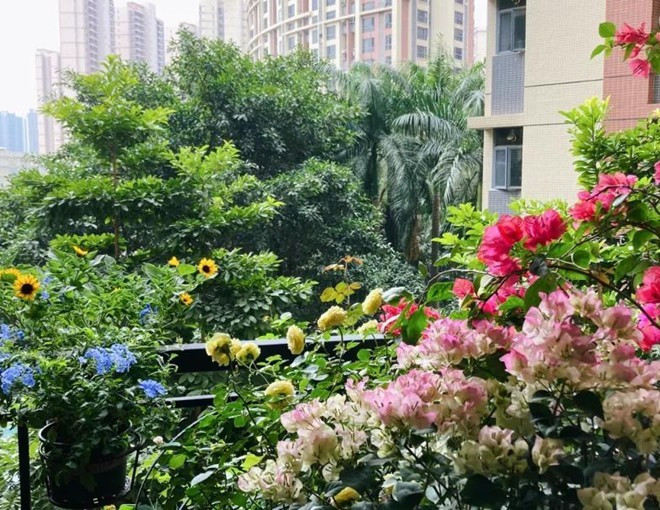 Bien ban cong 12m2 thanh “xu so than tien” noi hoa khoe sac