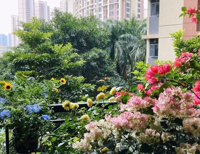 Bien ban cong 12m2 thanh “xu so than tien” noi hoa khoe sac