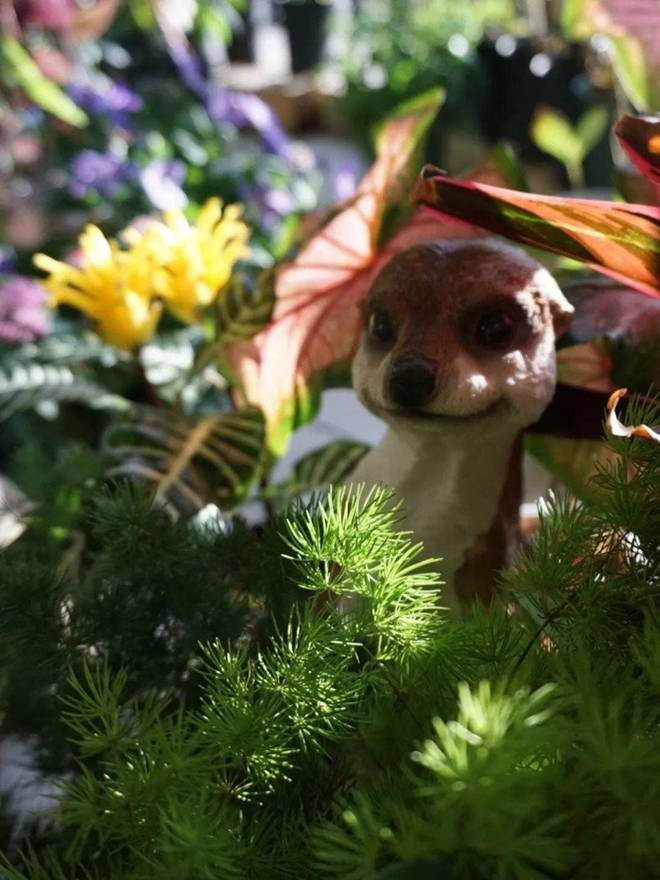 Bien ban cong 12m2 thanh “xu so than tien” noi hoa khoe sac-Hinh-14