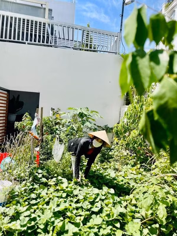 Me Ho Ngoc Ha U70 van thang giai cuoc thi cap quoc gia-Hinh-6