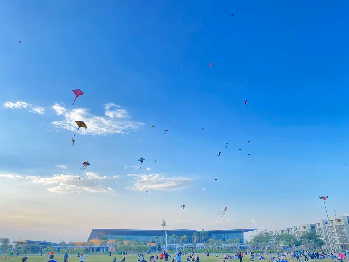 Chiem nguong canh dong dieu cuc dep tai TP.HCM-Hinh-5