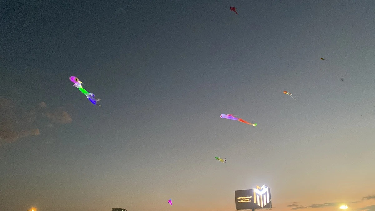 Chiem nguong canh dong dieu cuc dep tai TP.HCM-Hinh-9