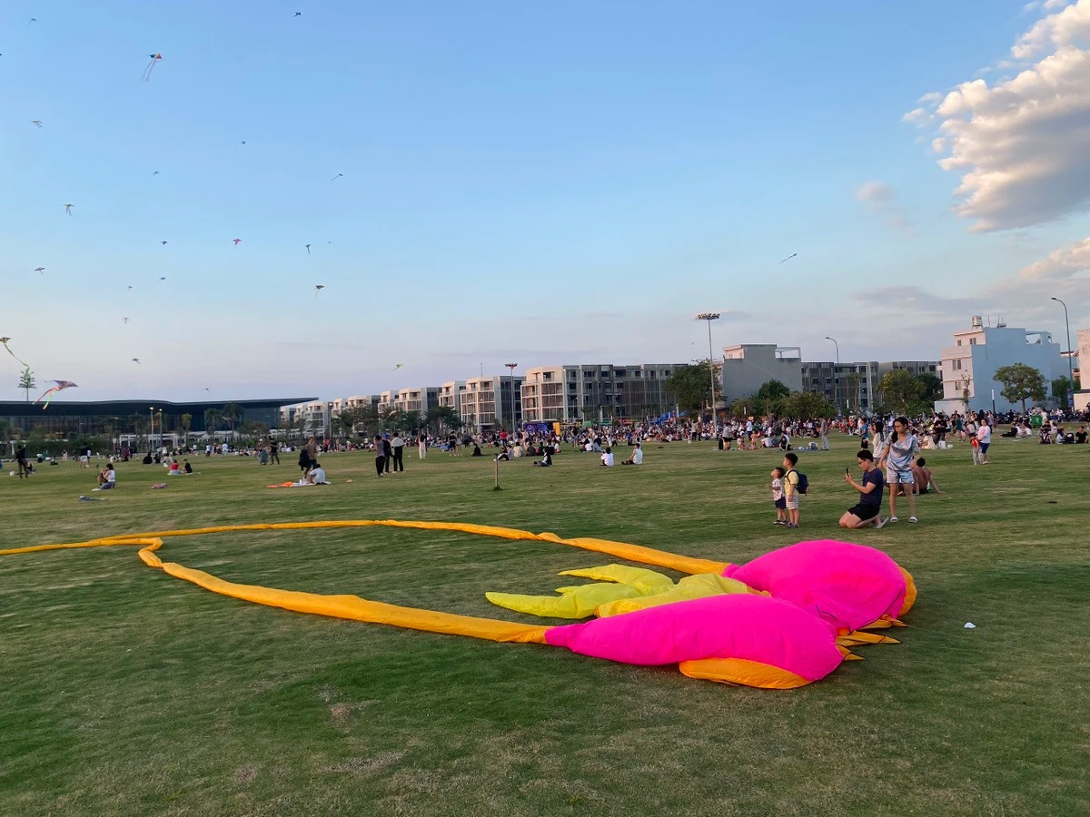 Chiem nguong canh dong dieu cuc dep tai TP.HCM-Hinh-8