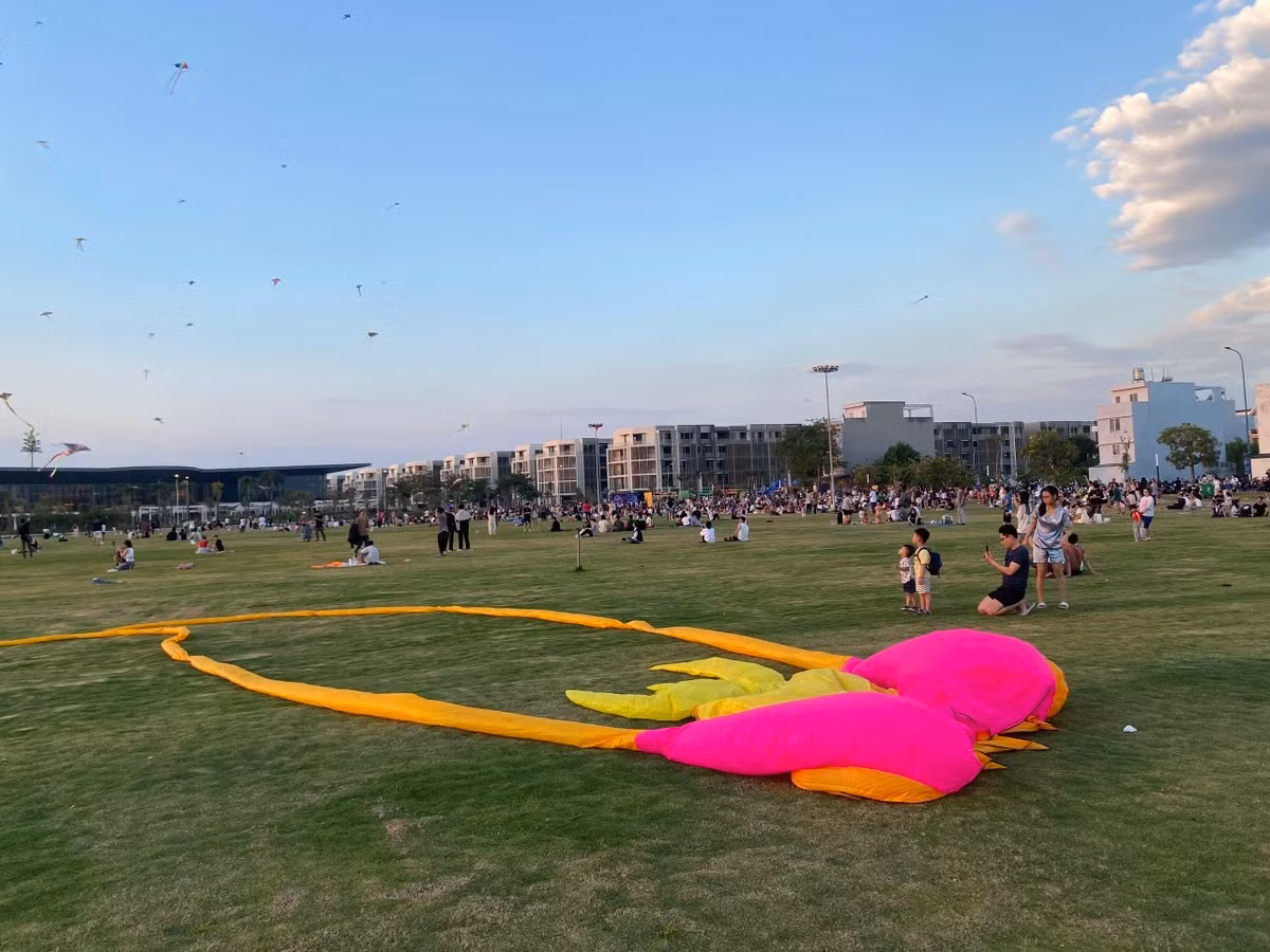 Chiem nguong canh dong dieu cuc dep tai TP.HCM-Hinh-8