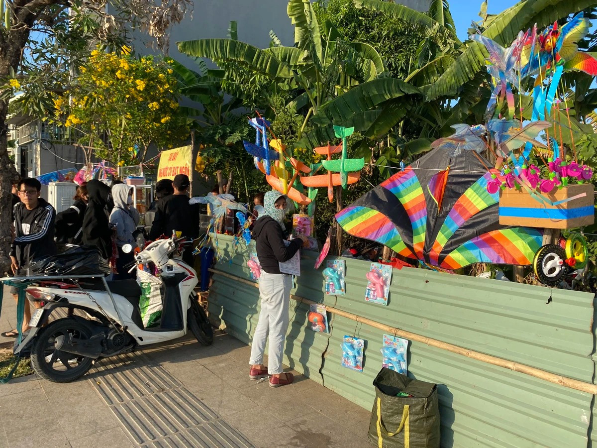 Chiem nguong canh dong dieu cuc dep tai TP.HCM-Hinh-2