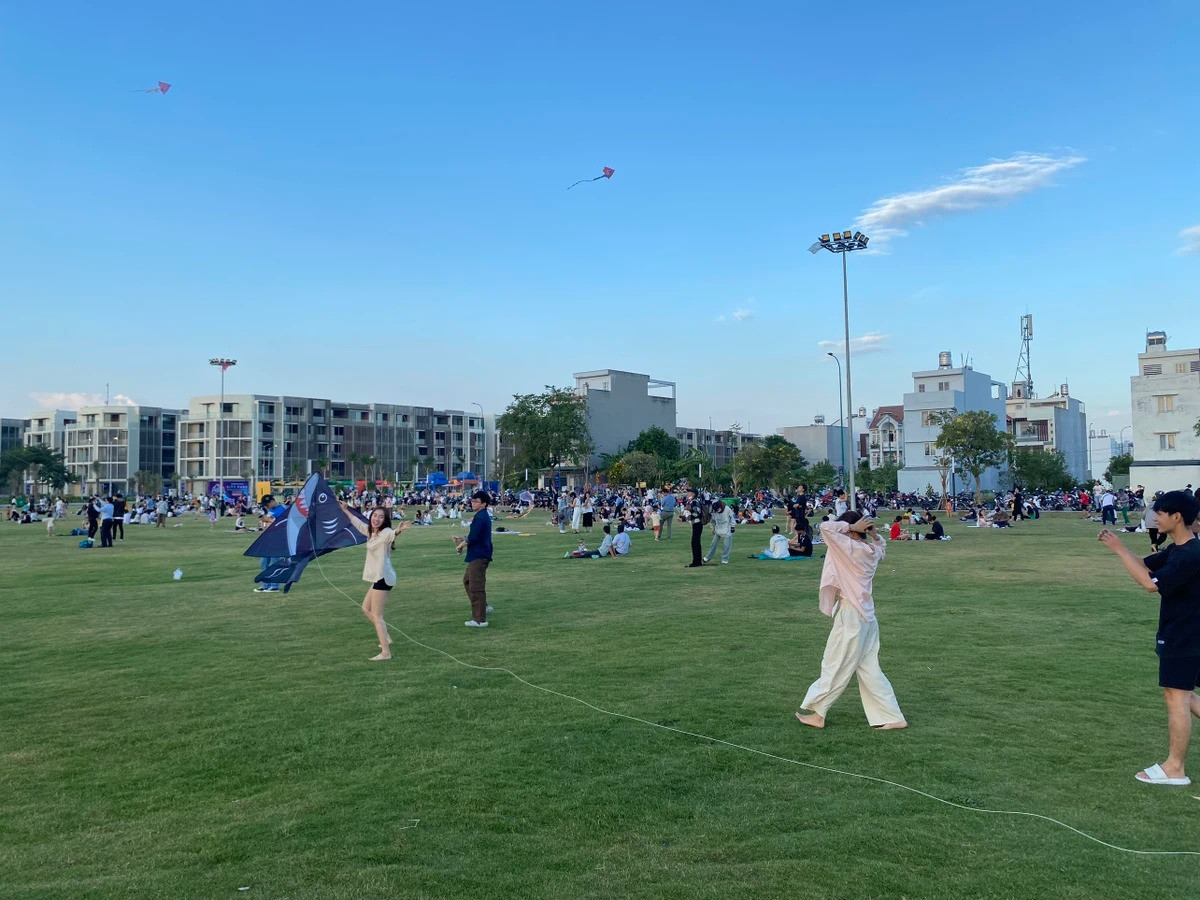 Chiem nguong canh dong dieu cuc dep tai TP.HCM-Hinh-3