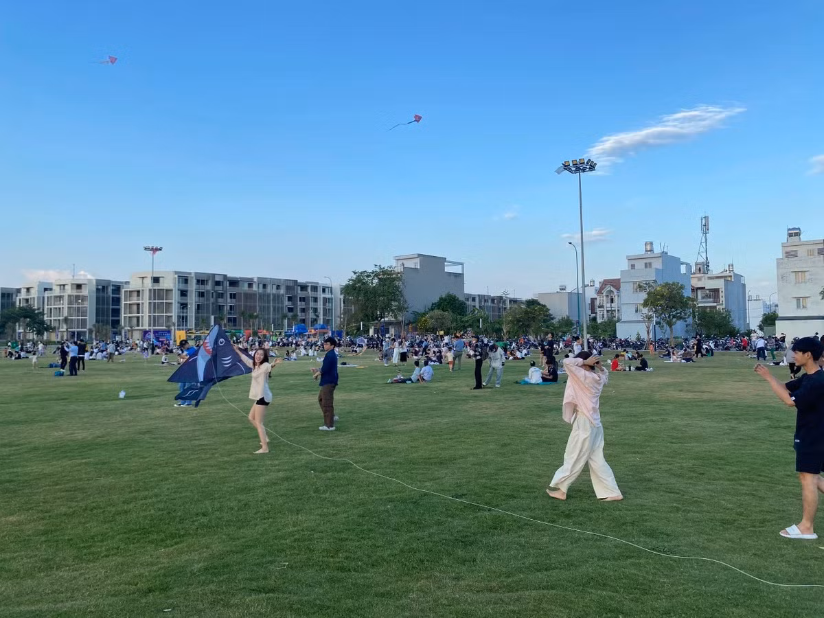 Chiem nguong canh dong dieu cuc dep tai TP.HCM-Hinh-3