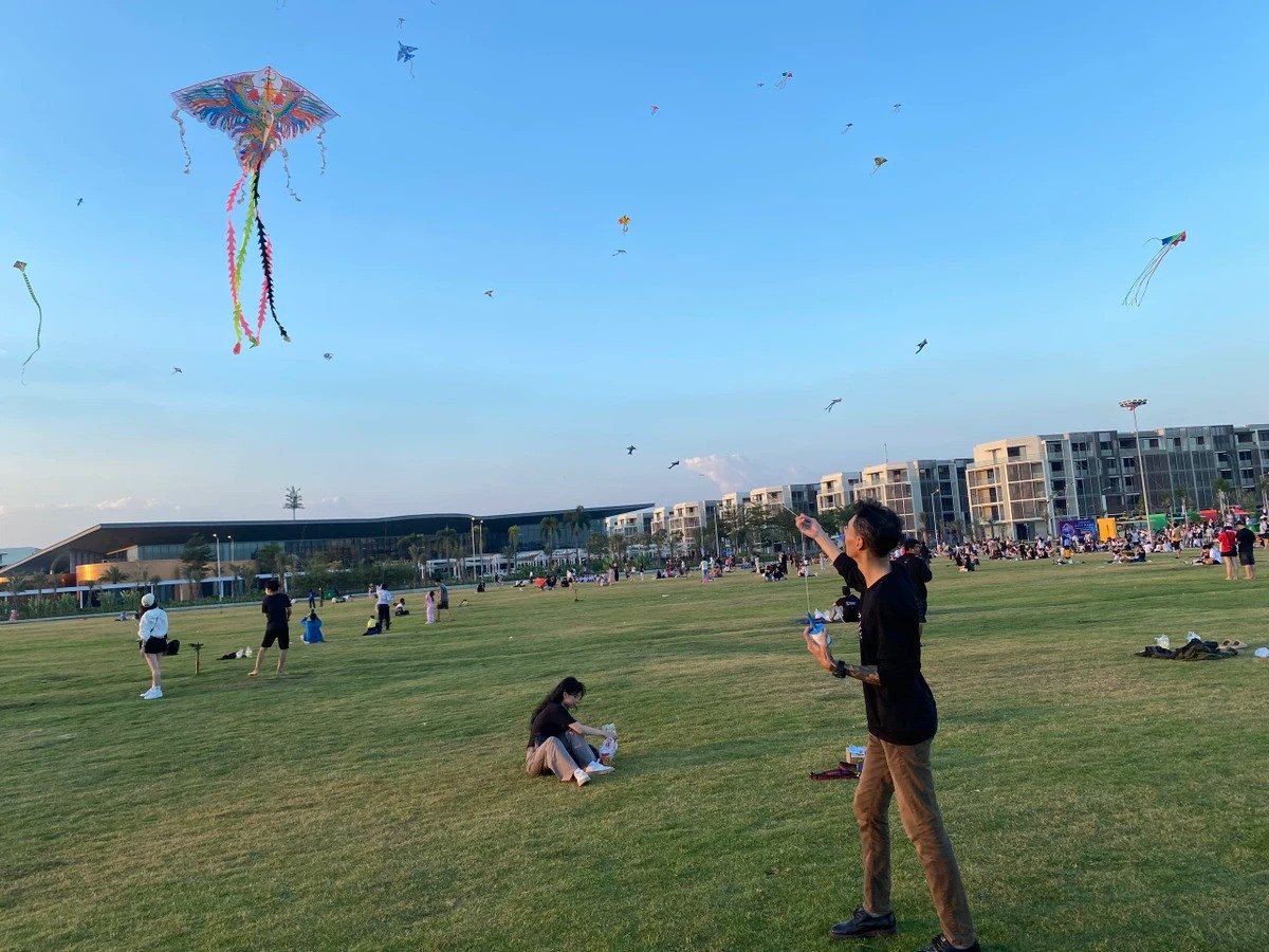 Chiem nguong canh dong dieu cuc dep tai TP.HCM-Hinh-4