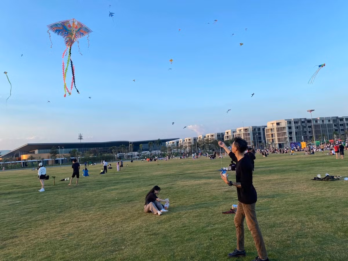 Chiem nguong canh dong dieu cuc dep tai TP.HCM-Hinh-4