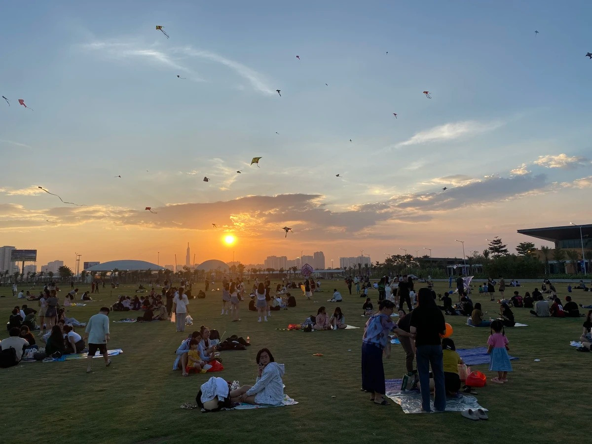 Chiem nguong canh dong dieu cuc dep tai TP.HCM-Hinh-11