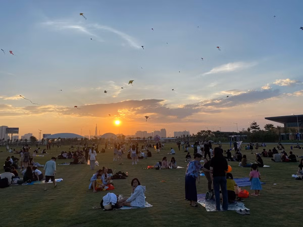 Chiem nguong canh dong dieu cuc dep tai TP.HCM-Hinh-11