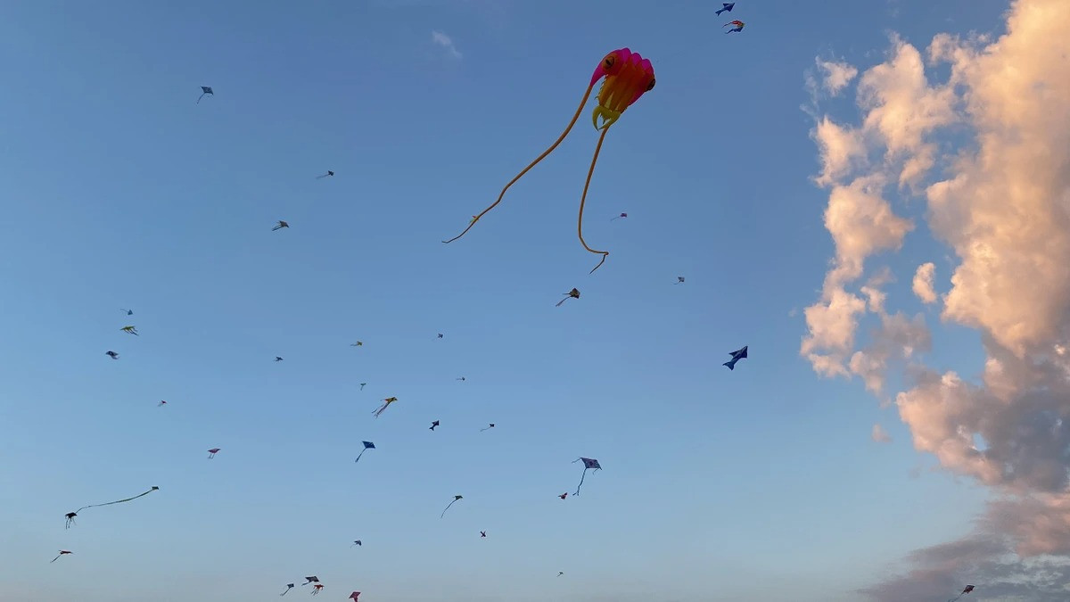 Chiem nguong canh dong dieu cuc dep tai TP.HCM-Hinh-7