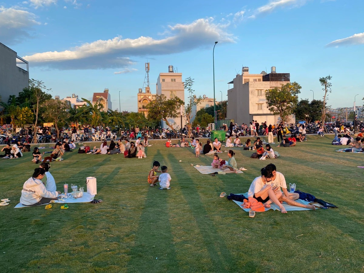 Chiem nguong canh dong dieu cuc dep tai TP.HCM-Hinh-6