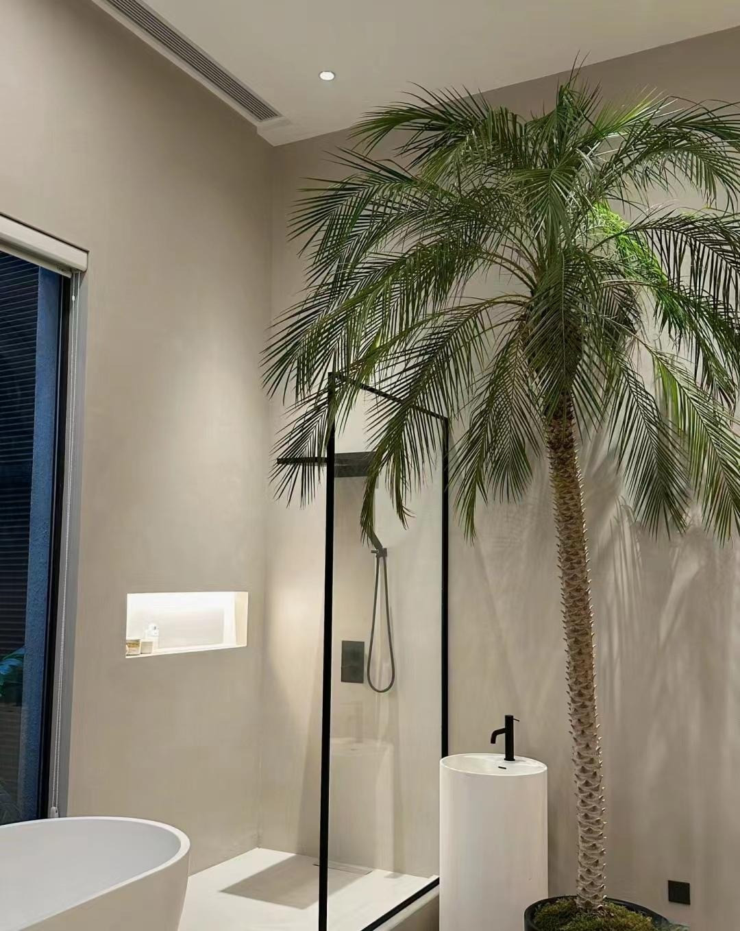 Loai cay canh nao cao cap, sang chanh, “doi gio” cho can nha?-Hinh-15