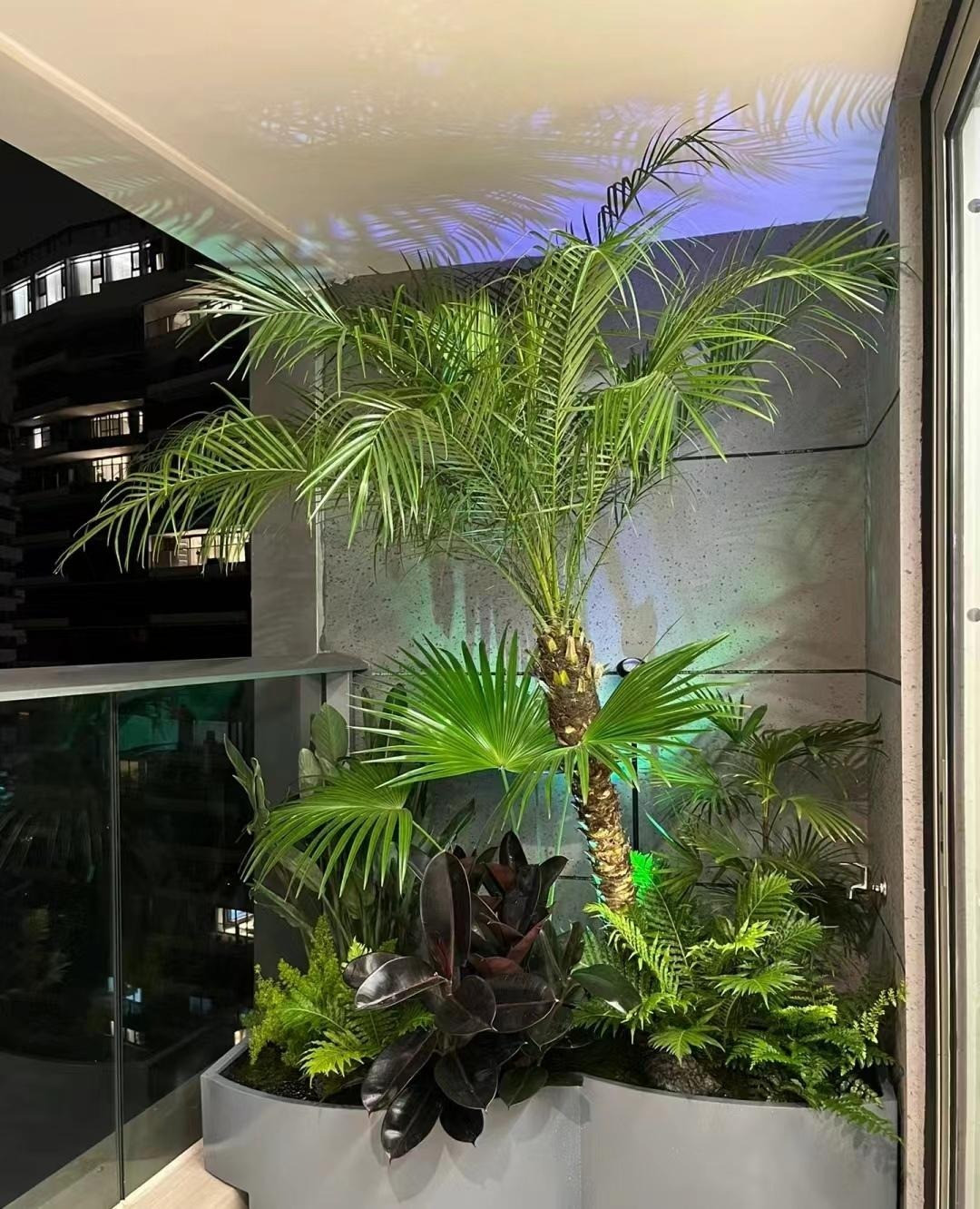 Loai cay canh nao cao cap, sang chanh, “doi gio” cho can nha?-Hinh-14