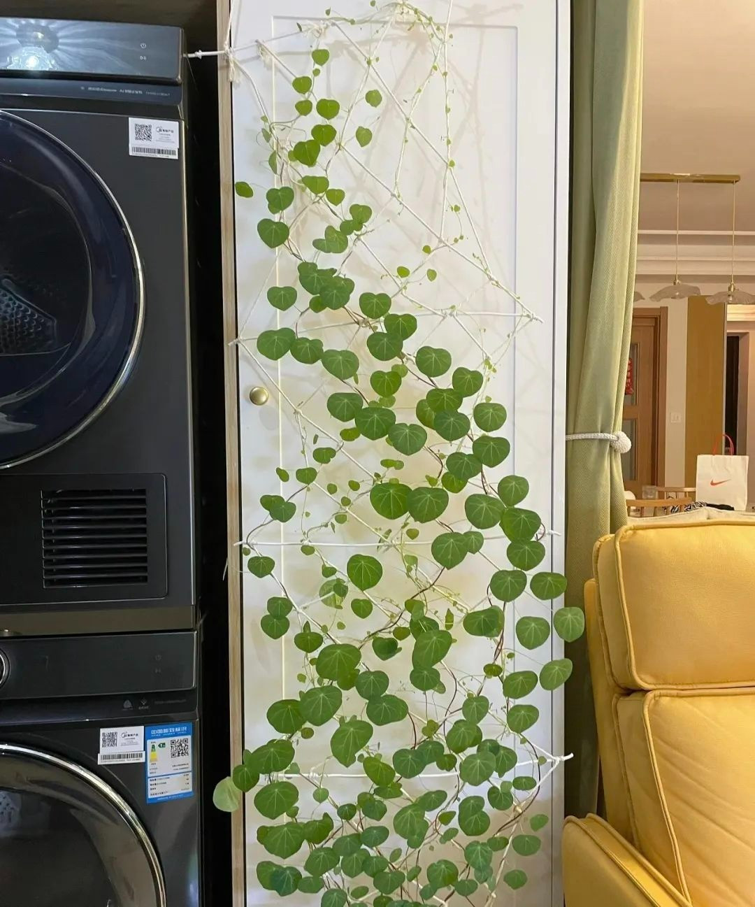 Loai cay canh nao cao cap, sang chanh, “doi gio” cho can nha?-Hinh-5