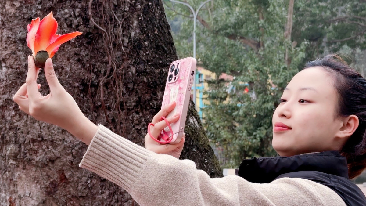 Nơi đây trở thành điểm đến ưa thích của giới trẻ check-in mỗi độ hoa bung sắc nở đỏ rực.