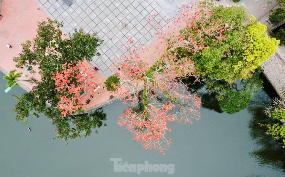 Hoa gạo đỏ rực một góc trời trong không gian trầm mặc, linh thiêng của quần thể di tích chùa Thầy.