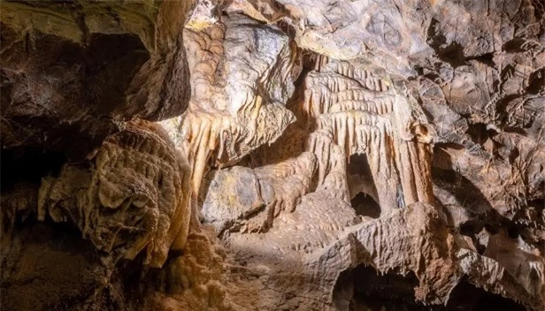 Hang dong Gough: Bi an ve an thit dong loai va nghi le co xua