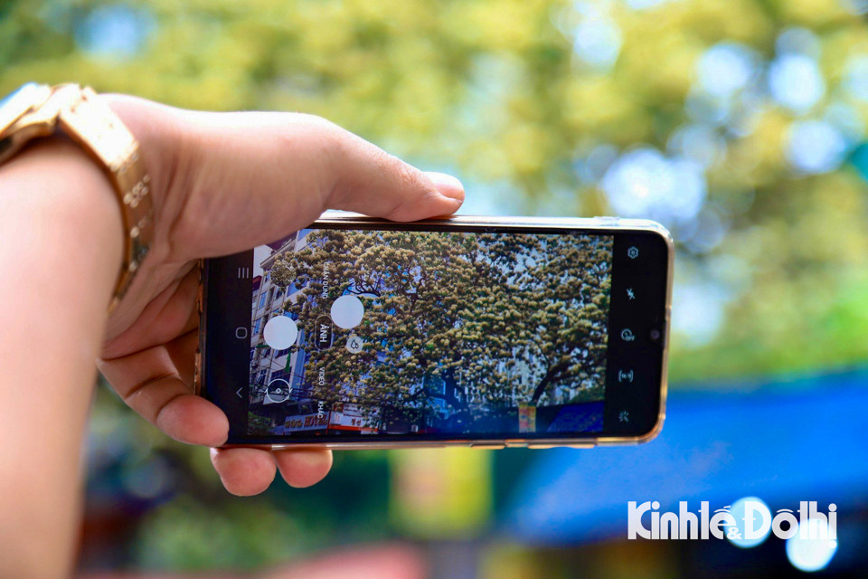 Gioi tre Ha Noi hao huc check in hoa bun co hon 300 tuoi-Hinh-15