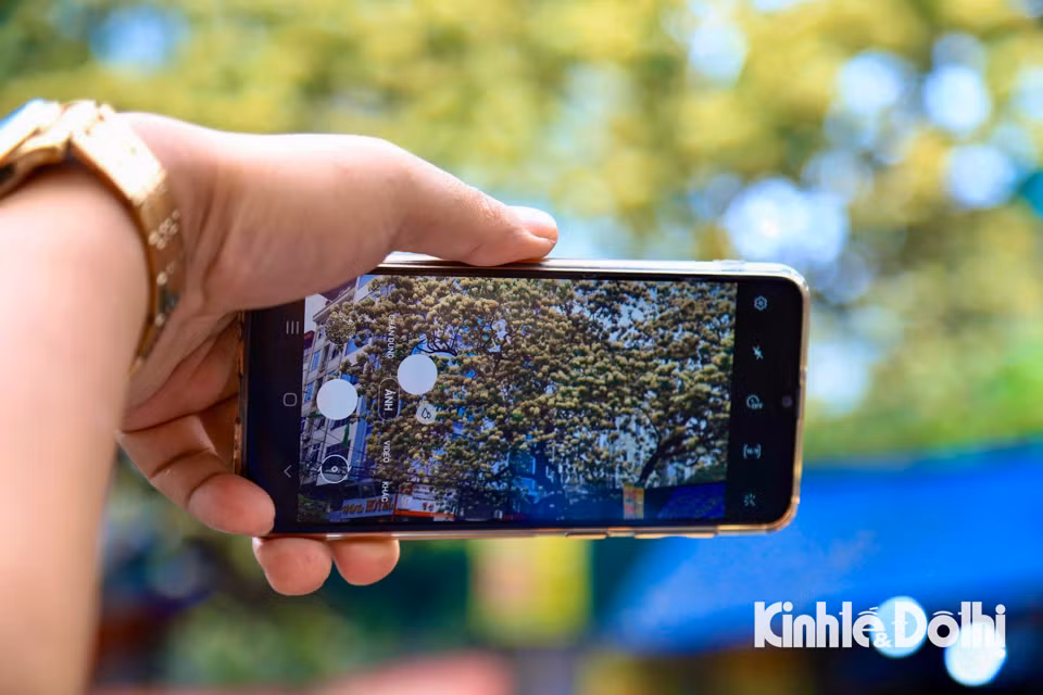 Gioi tre Ha Noi hao huc check in hoa bun co hon 300 tuoi-Hinh-15