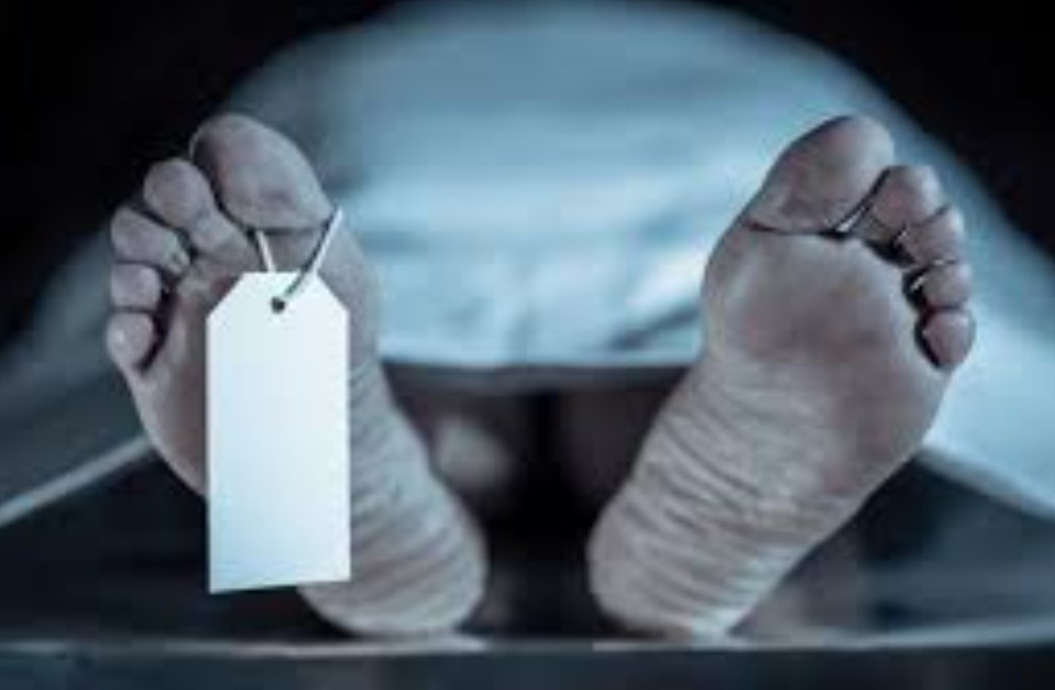 Tai sao khi co the chet di lai co mui?-Hinh-3