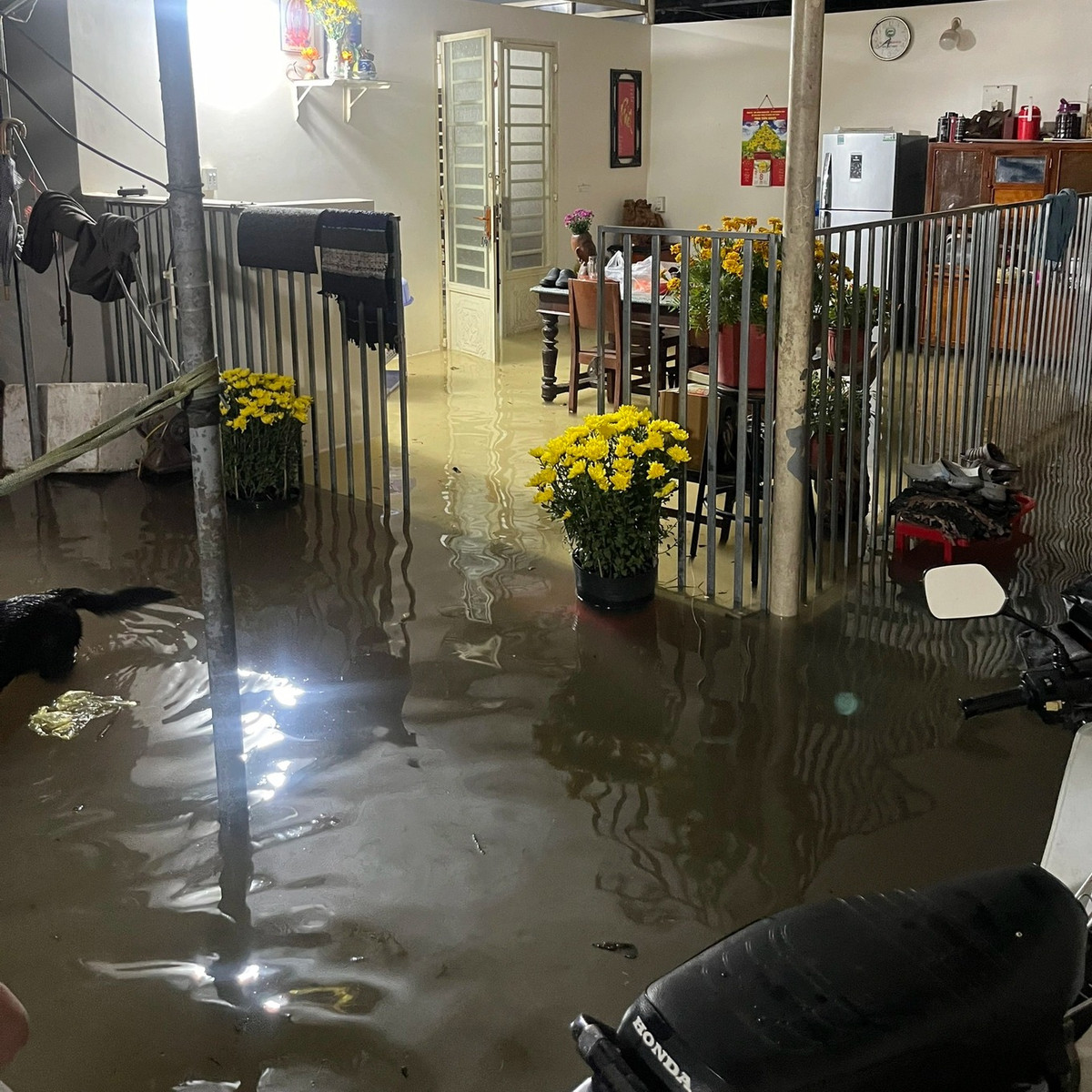 Triều cường bất ngờ dâng cao, người dân vừa đón Tết vừa “chạy ngập“ - Hình 2 Trieu cuong bat ngo dang cao, nguoi dan vua don Tet vua “chay ngap“-Hinh-2