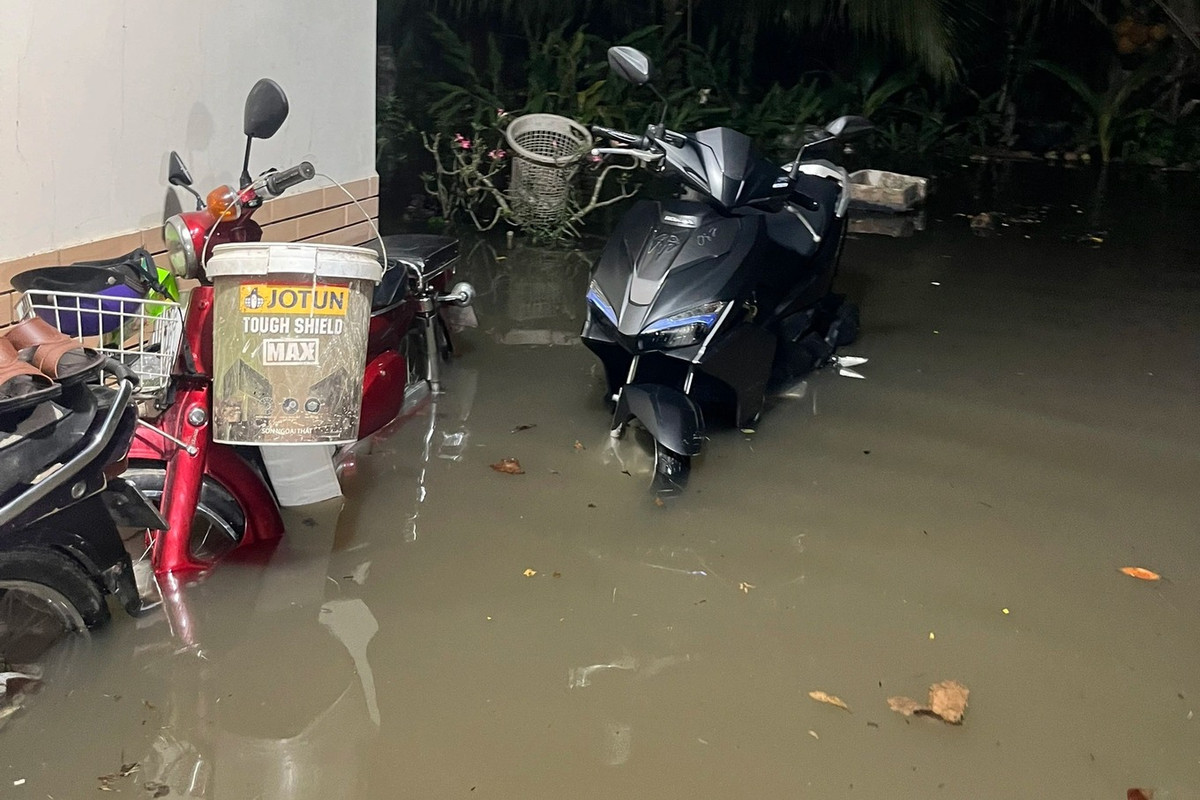 Triều cường bất ngờ dâng cao, người dân vừa đón Tết vừa “chạy ngập“ - Hình 3 Trieu cuong bat ngo dang cao, nguoi dan vua don Tet vua “chay ngap“-Hinh-3