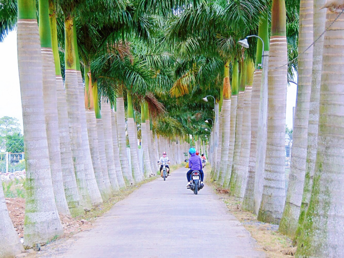 Check-in nhung “Con duong hanh phuc” o Long An-Hinh-2