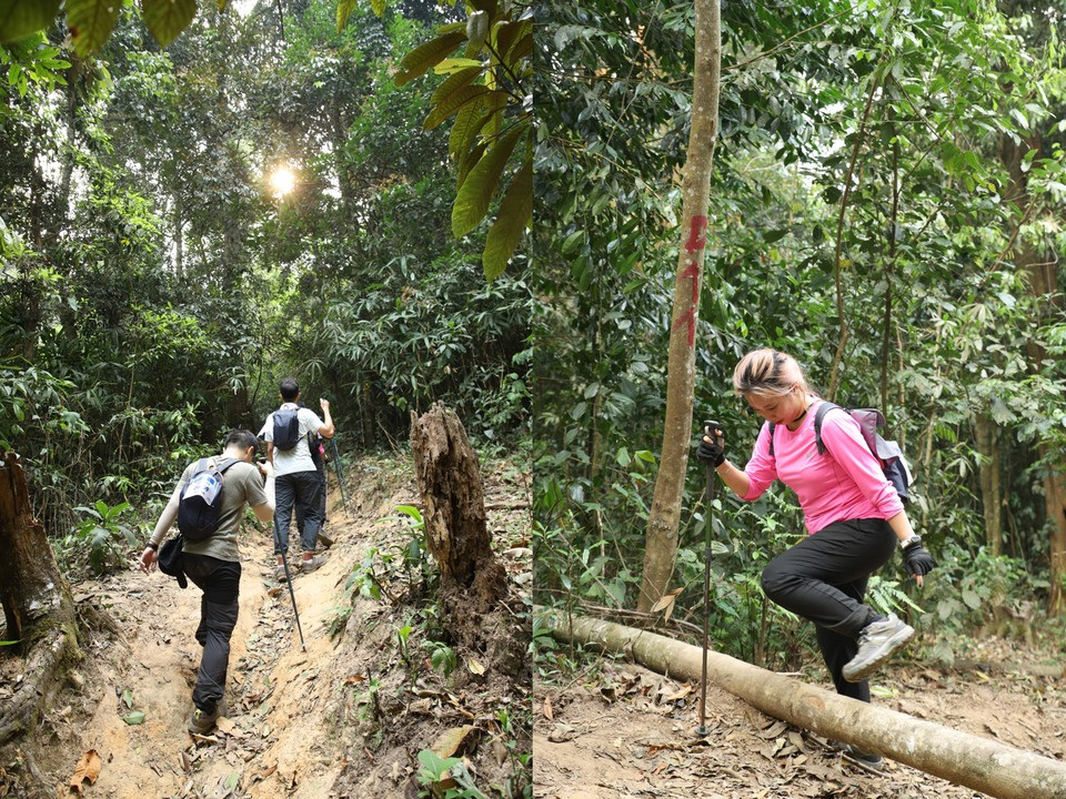 Thay vi teambuilding, Zalo cho nhan su nghi duong bang... trekking-Hinh-6