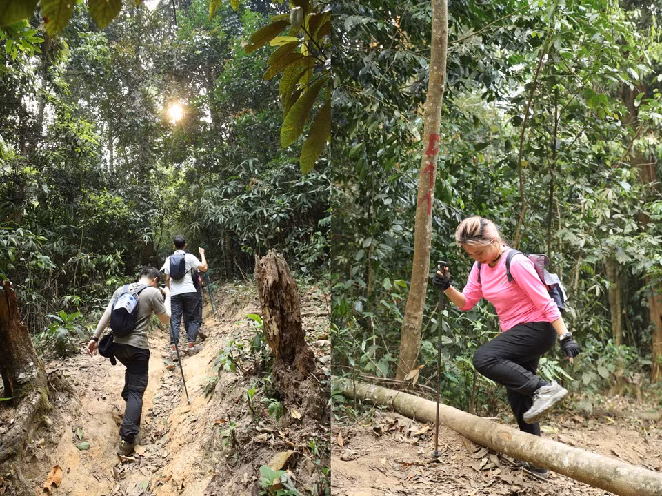 Thay vi teambuilding, Zalo cho nhan su nghi duong bang... trekking-Hinh-6