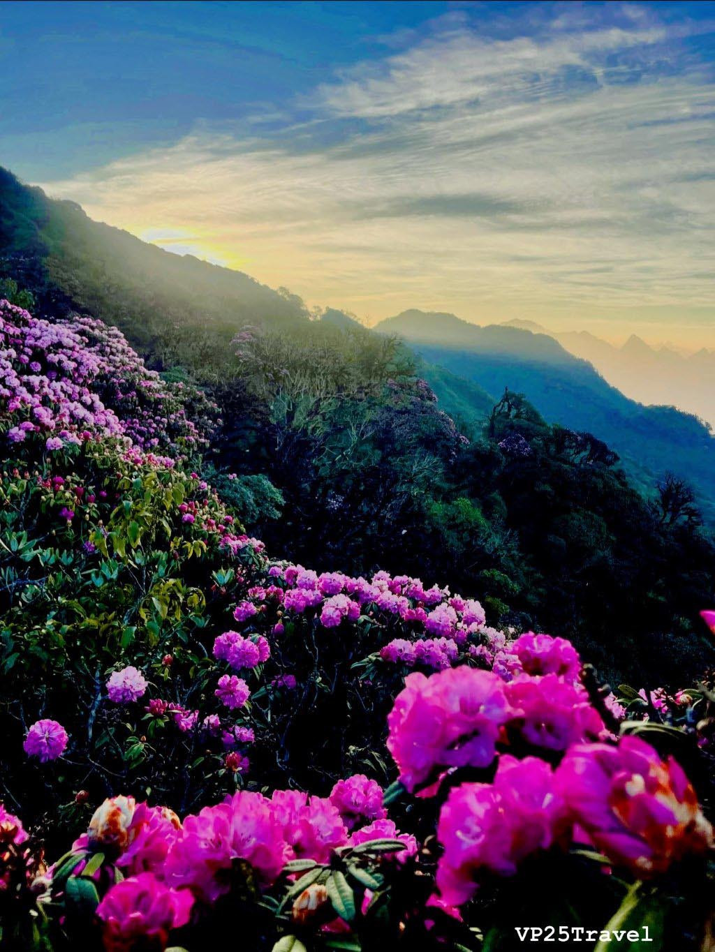 Giua nui rung Putaleng, Do quyen khoe sac-Hinh-7