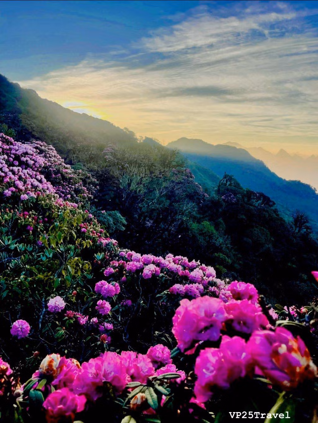 Giua nui rung Putaleng, Do quyen khoe sac-Hinh-7