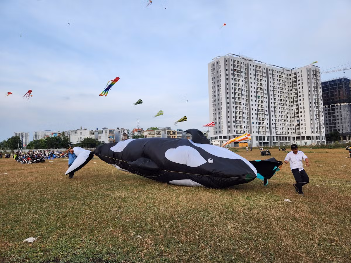 TP. HCM, noi canh dong dieu rong lon-Hinh-6