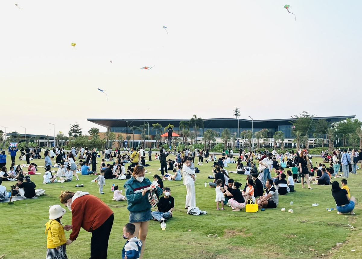 TP. HCM, noi canh dong dieu rong lon-Hinh-3