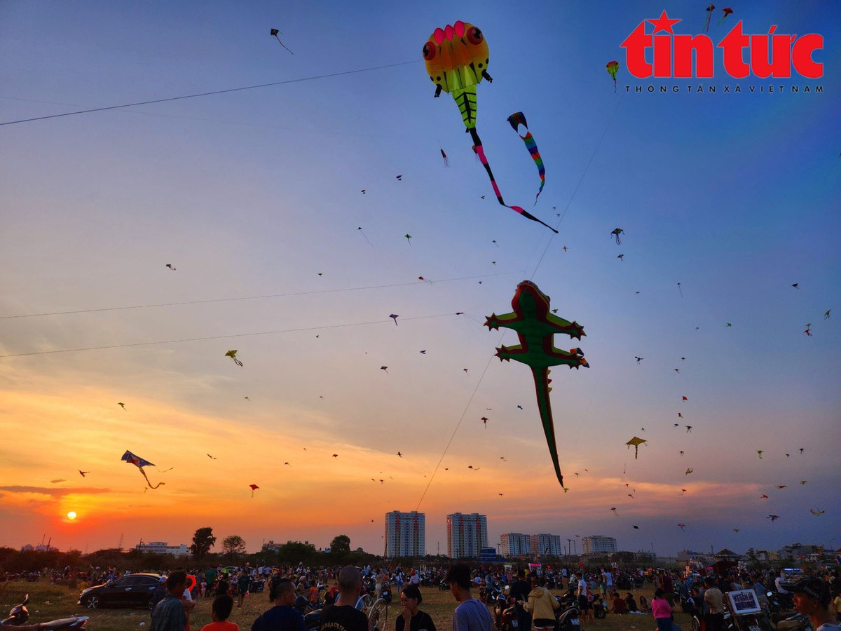 TP. HCM, noi canh dong dieu rong lon-Hinh-10