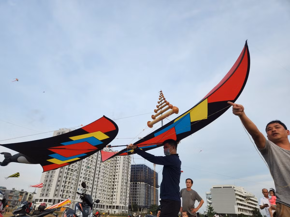 TP. HCM, noi canh dong dieu rong lon-Hinh-5