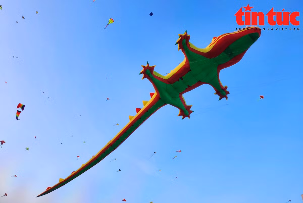 TP. HCM, noi canh dong dieu rong lon-Hinh-8