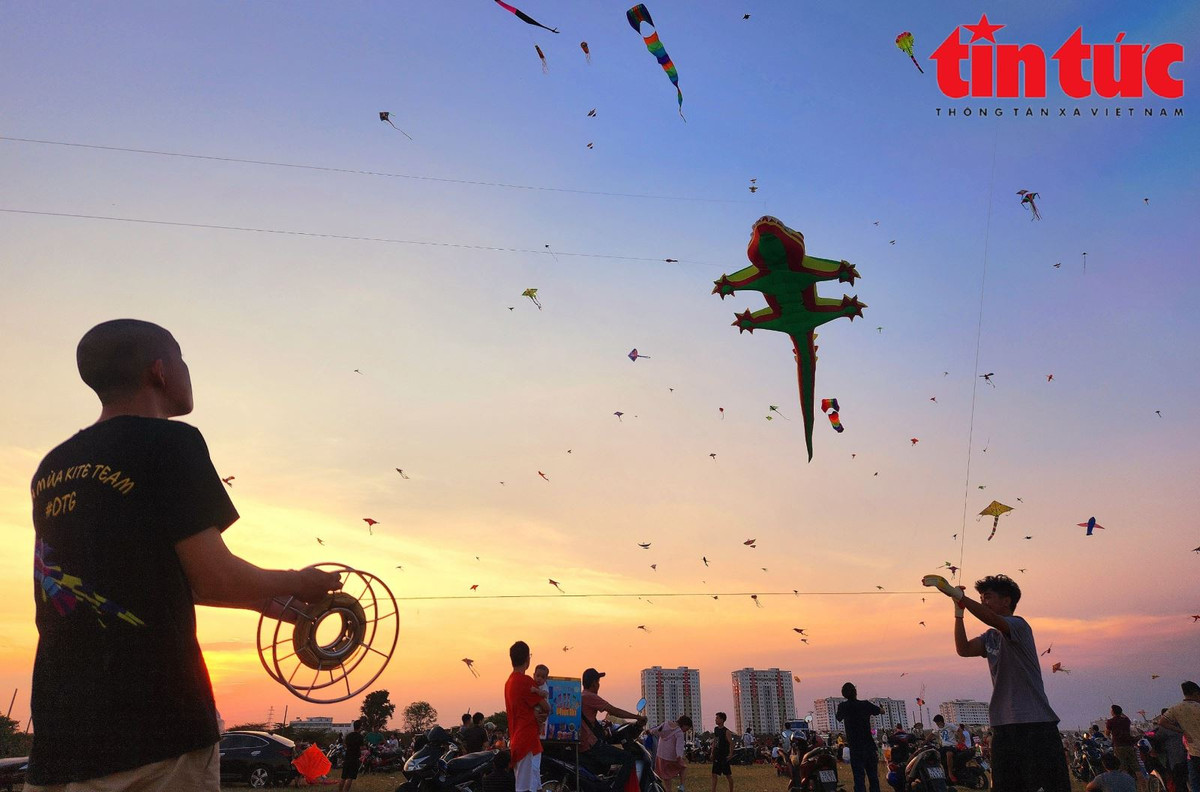 TP. HCM, noi canh dong dieu rong lon-Hinh-7