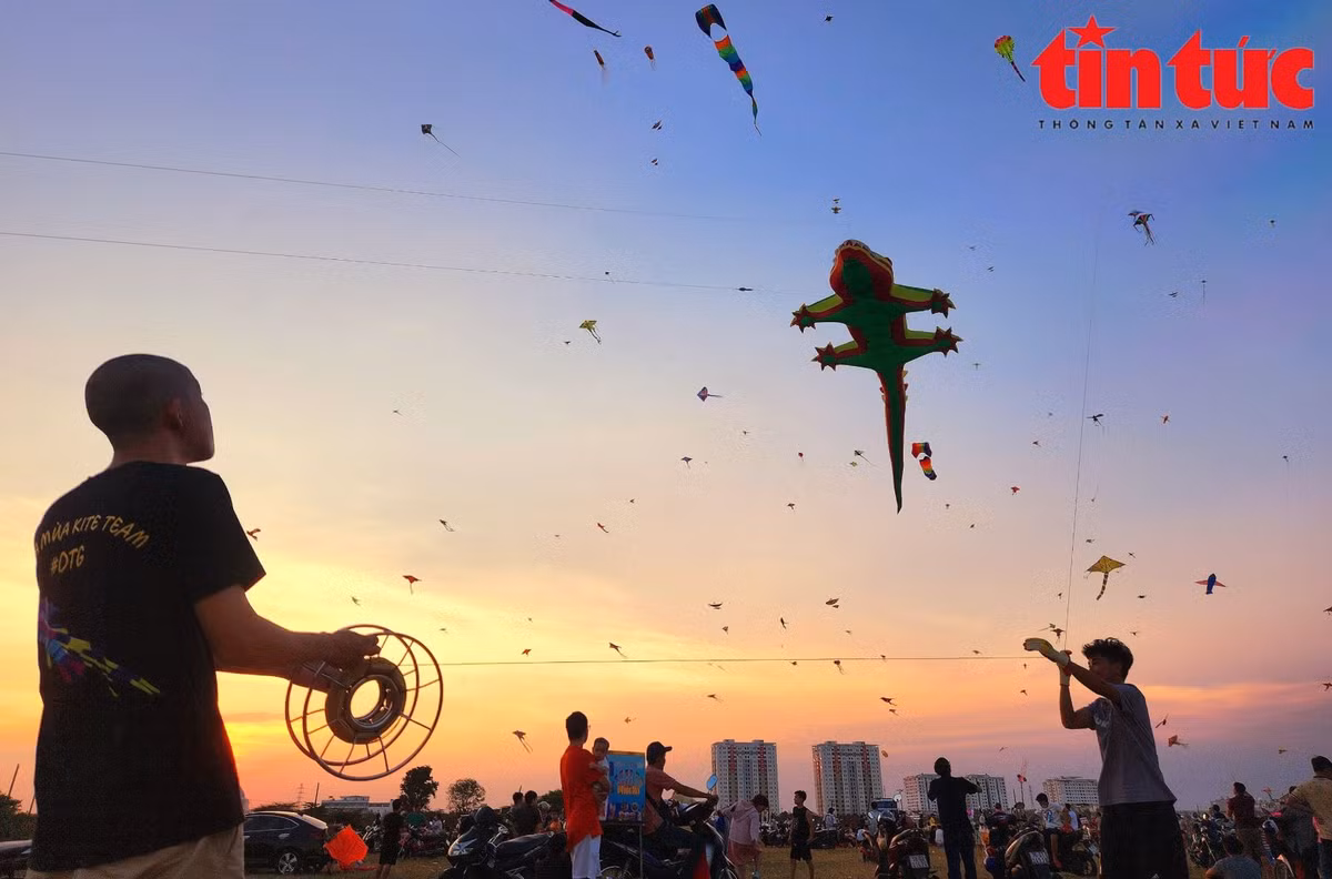 TP. HCM, noi canh dong dieu rong lon-Hinh-7