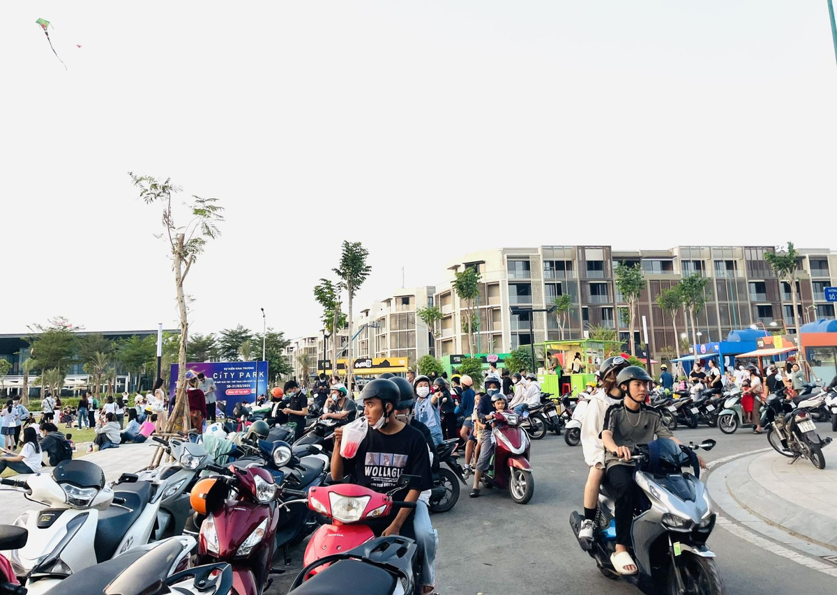 TP. HCM, noi canh dong dieu rong lon-Hinh-2