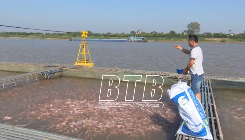 Nuoi ca duoi song, dan Thai Binh thu loi gap 4 nuoi ao