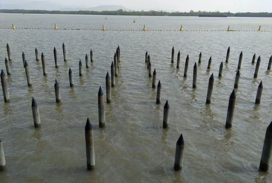 10 kiet tac quan su vi dai nhat su Viet gom nhung gi?-Hinh-3