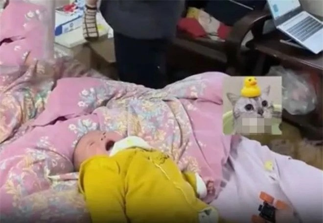 Chong goi dien than tho, vo vua buon vua mung-Hinh-2