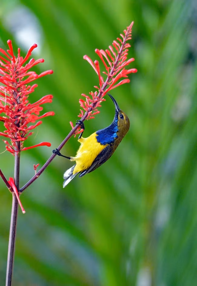 Tet Giap Thin, 5 con giap duoc don phuoc lanh chua tung co-Hinh-4