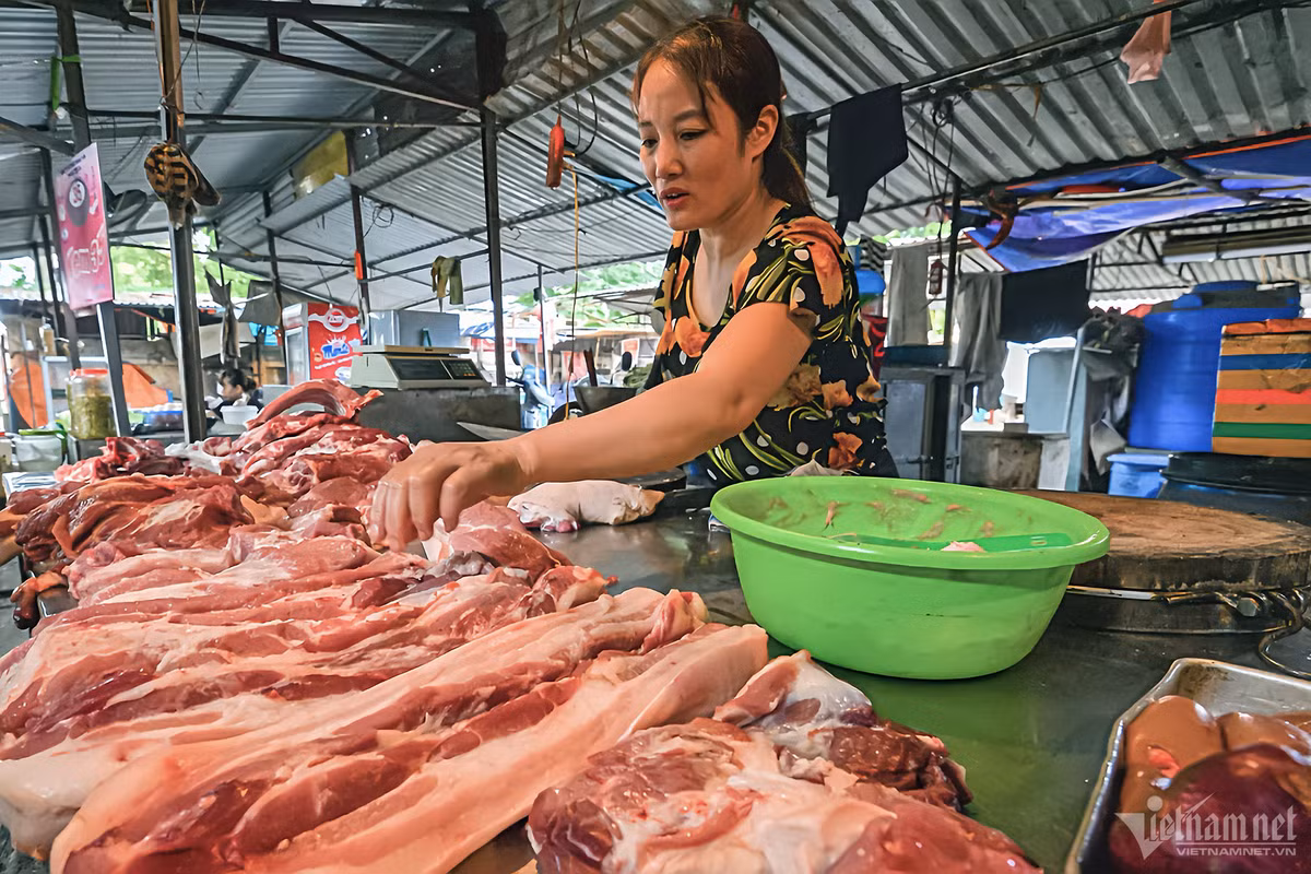 Ca chua tang gia bat ngo, sau Rieng mini rot sieu re