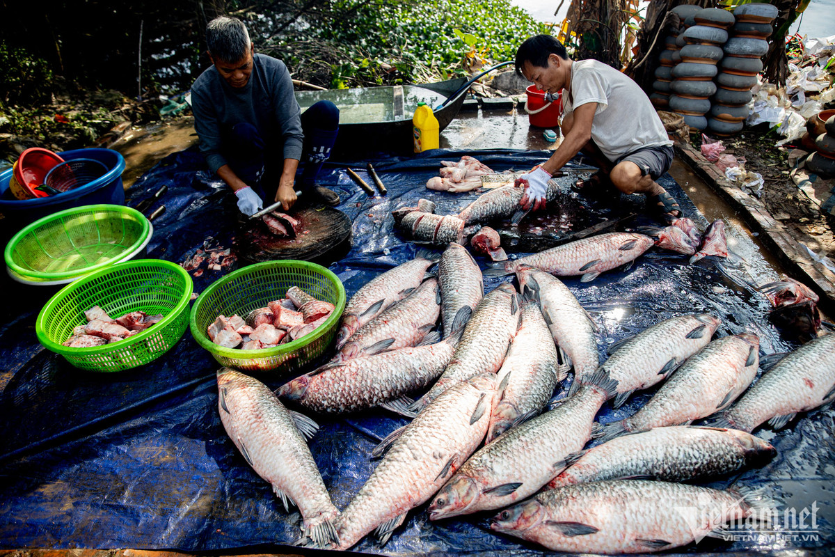 Ban ca kho, nguoi lang Vu Dai kiem tien trieu moi ngay-Hinh-6